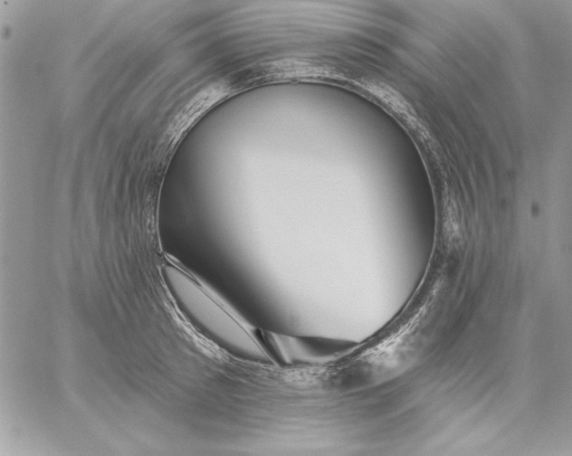 X0000059080897200510172027