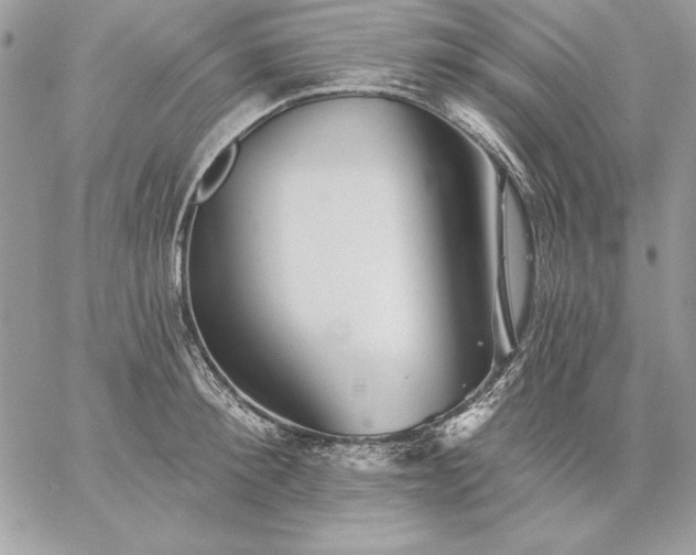 X0000059080900200510172027