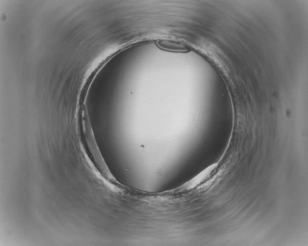 X0000059080902200510172026