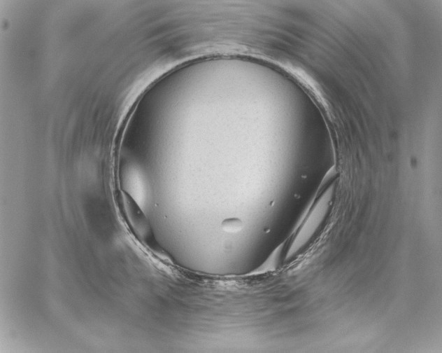 X0000059080903200510172026