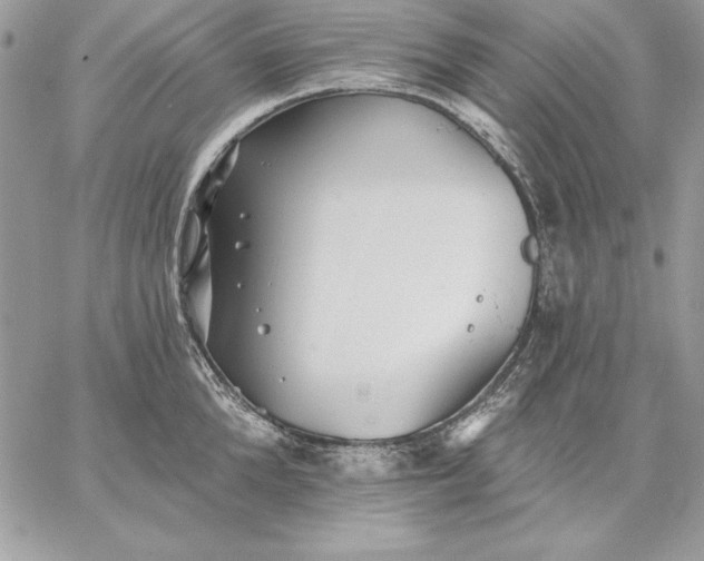 X0000059080904200510172026