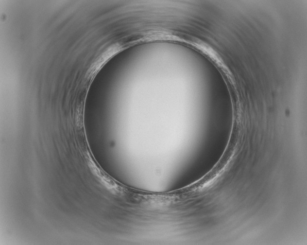 X0000059080905200510172026