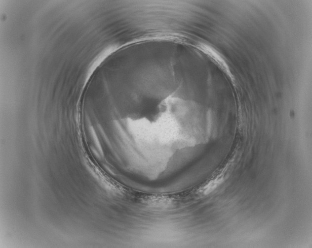 X0000059080907200510172026