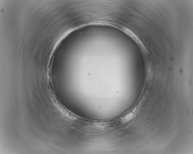 X0000059080908200510172026