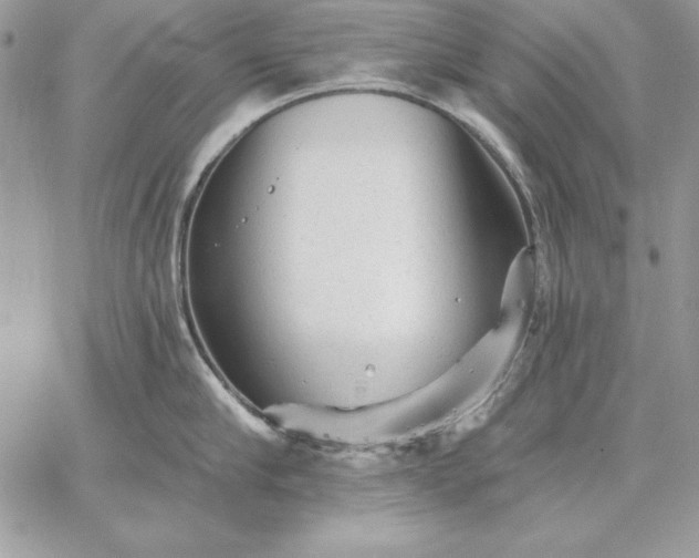 X0000059080910200510172026