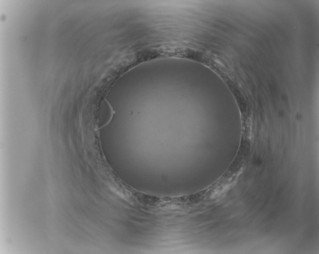 X0000059080913200510172026