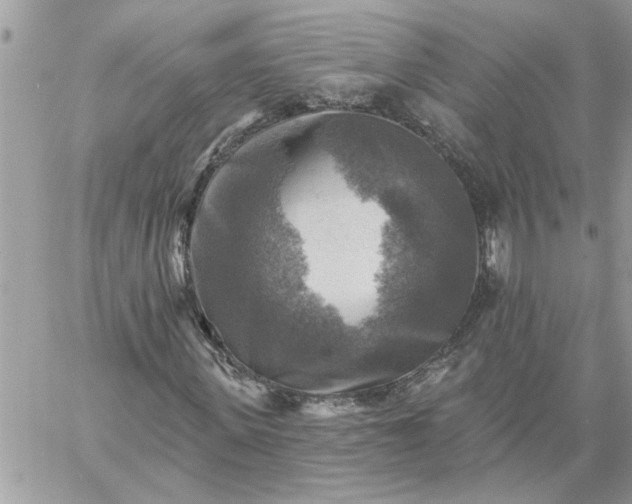 X0000059080915200510172026