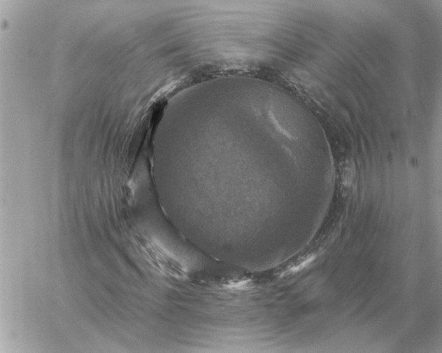 X0000059080916200510172026