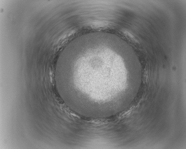 X0000059080917200510172026