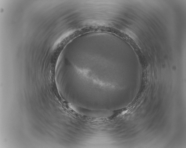 X0000059080919200510172026