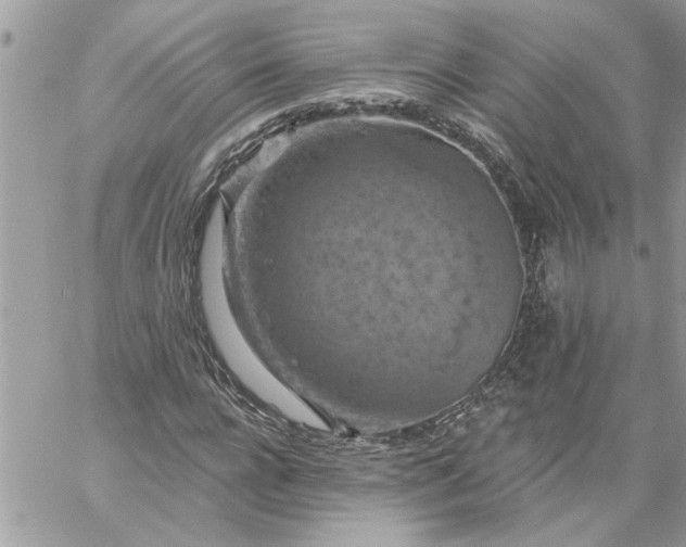 X0000059080920200510172026