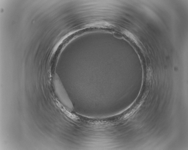 X0000059080923200510172026