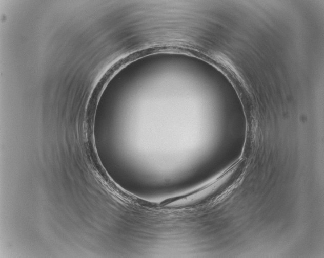 X0000059080924200510172026