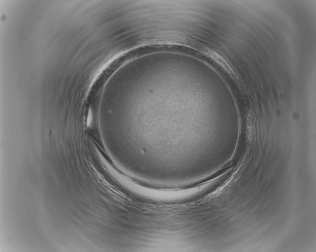 X0000059080926200510172026