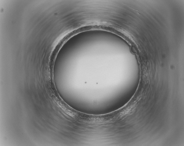 X0000059080927200510172026