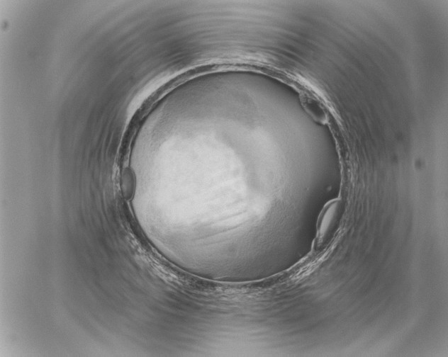 X0000059080928200510172026