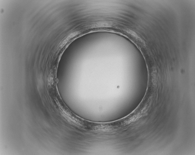 X0000059080929200510172026