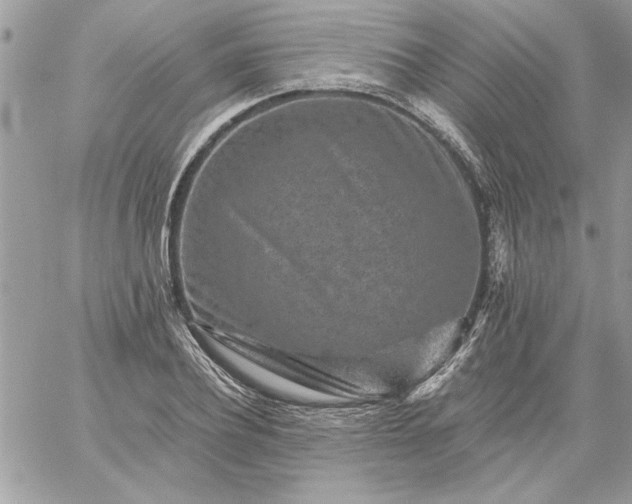 X0000059080932200510172026