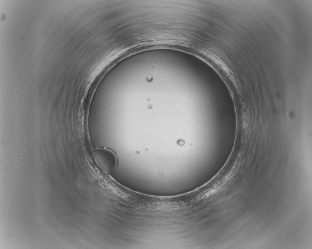 X0000059080933200510172026