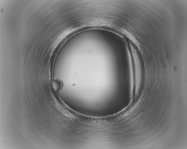 X0000059080934200510172026