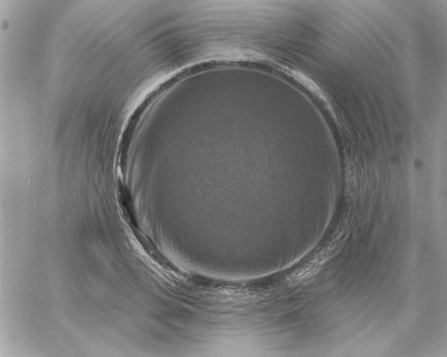 X0000059080935200510172026