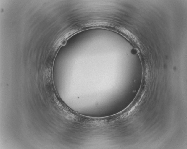 X0000059080937200510172026