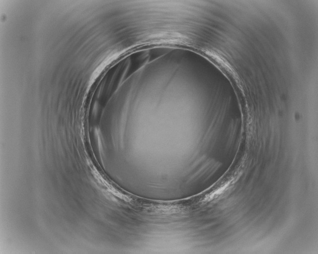 X0000059080941200510172026