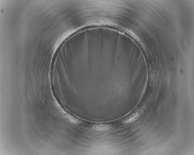 X0000059080943200510172026