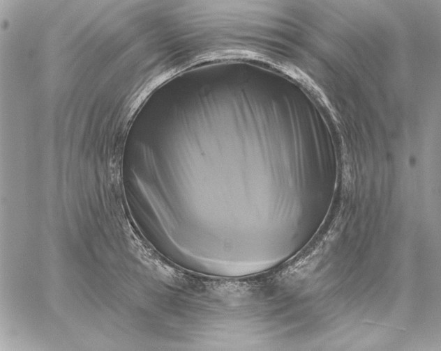 X0000059080945200510172026