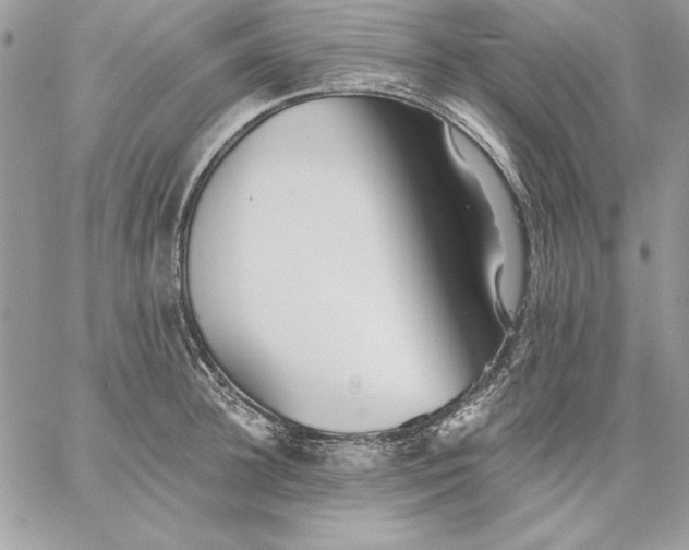 X0000059080948200510172026