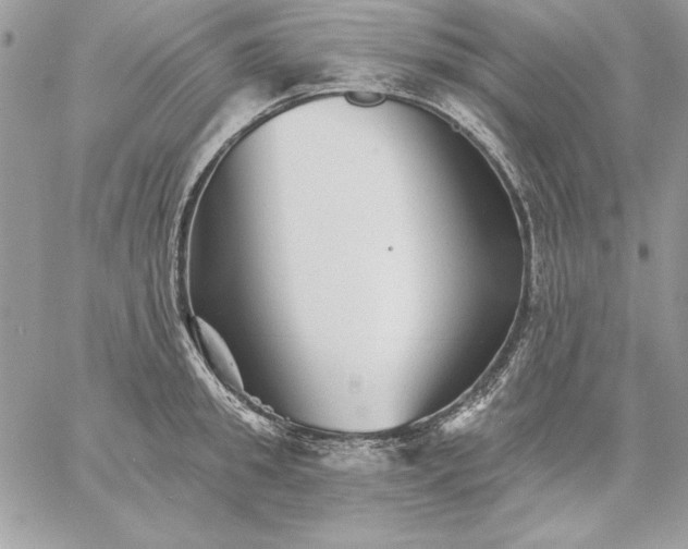 X0000059080949200510172026