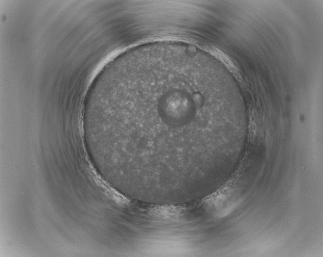 X0000059080950200510172026