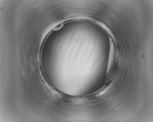 X0000059080951200510172026