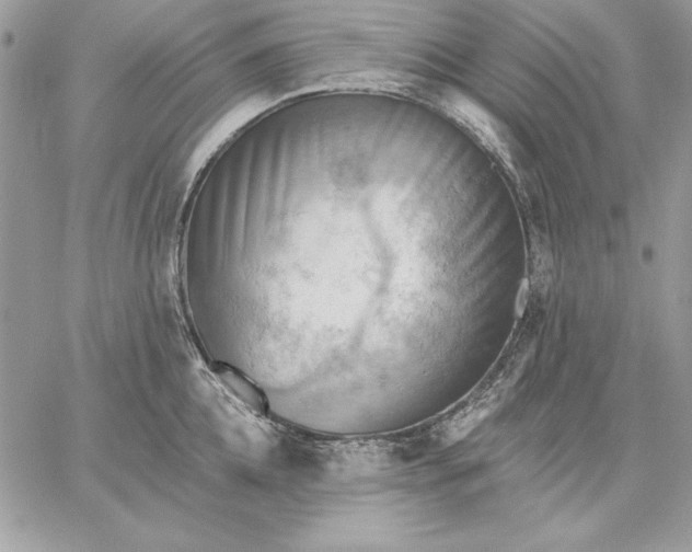 X0000059080952200510172026