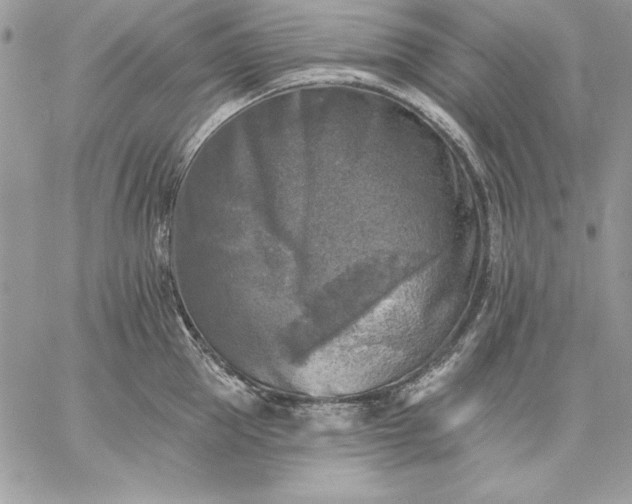 X0000059080953200510172026