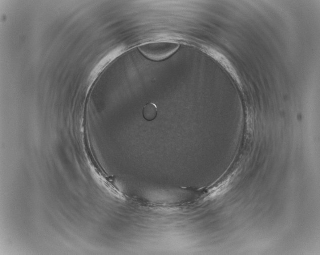 X0000059080954200510172026