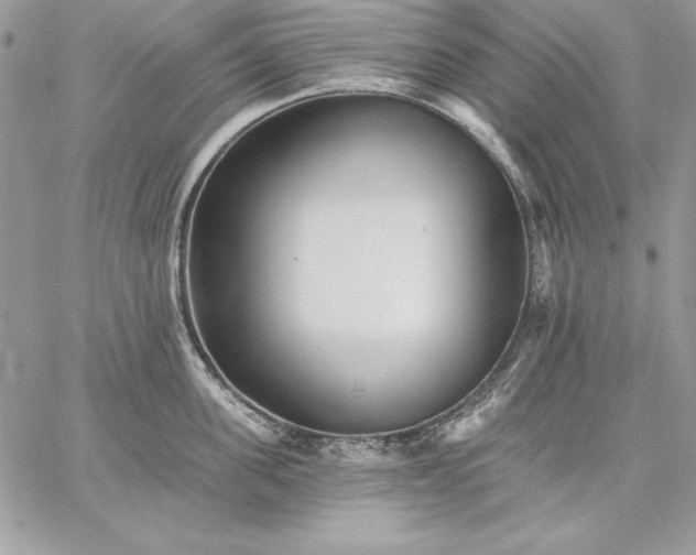 X0000059080955200510172026