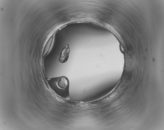 X0000059080956200510172026