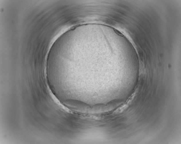 X0000059080957200510172026