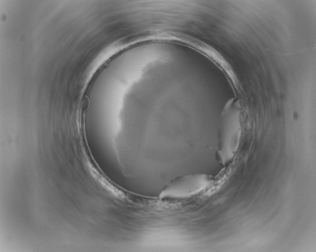 X0000059080958200510172026