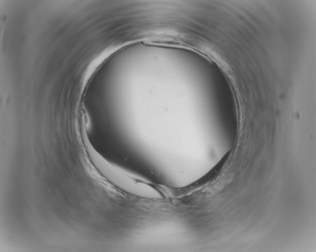 X0000059080960200510172026