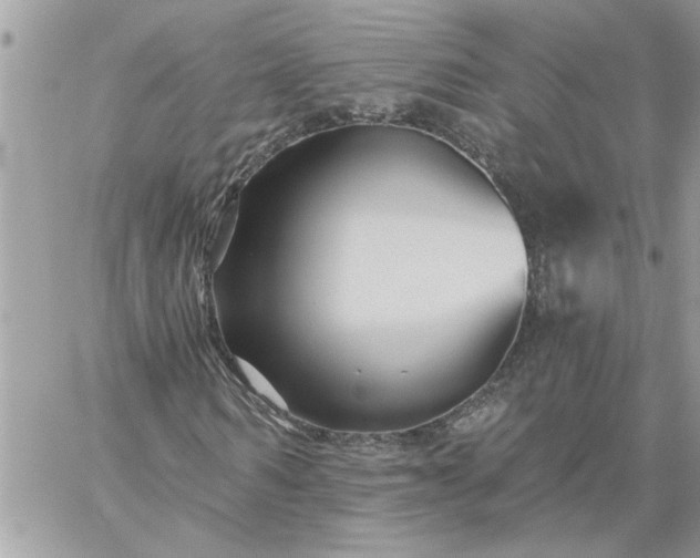 X0000059080962200510172025