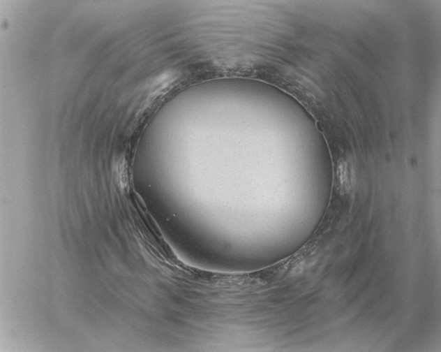 X0000059080963200510172025