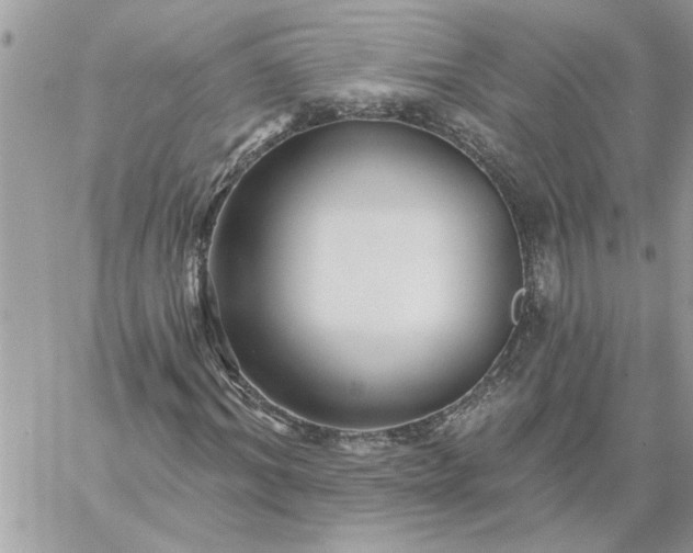 X0000059080964200510172025