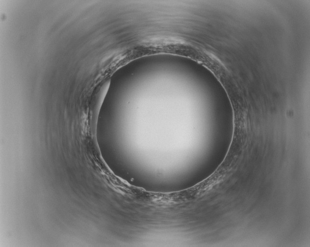 X0000059080965200510172025