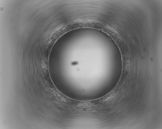 X0000059080966200510172025