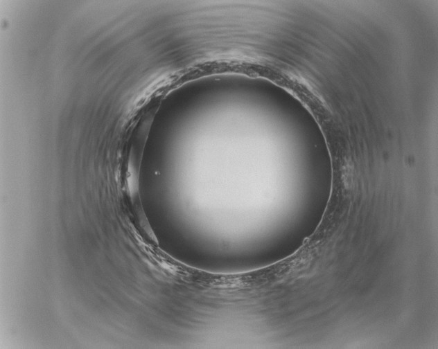 X0000059080968200510172025