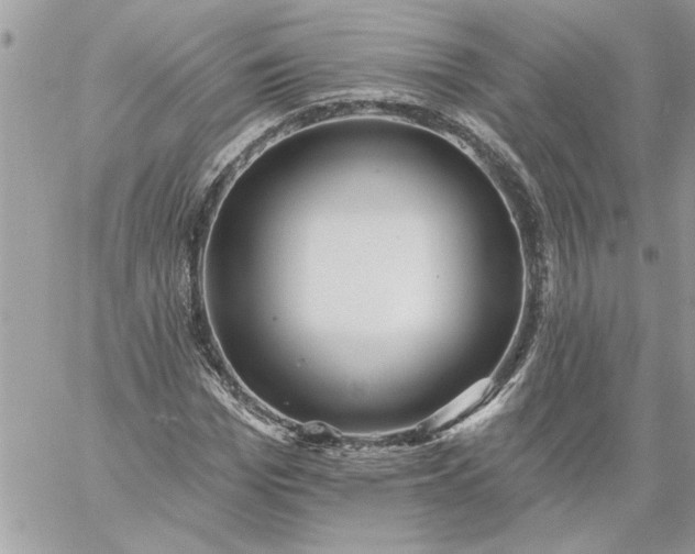 X0000059080969200510172025