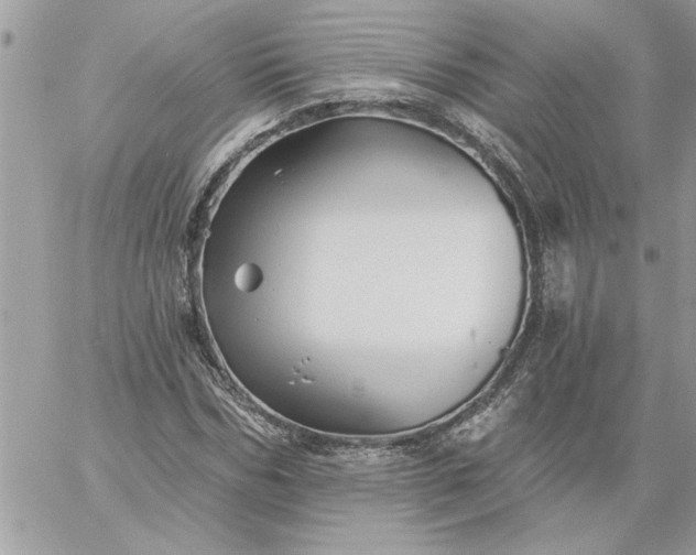 X0000059080970200510172025