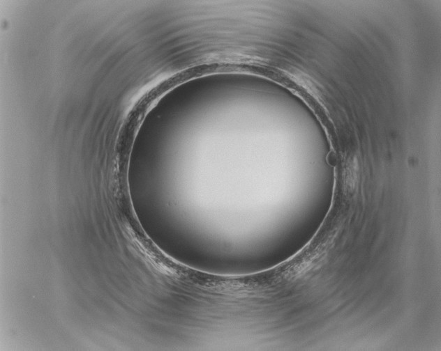 X0000059080971200510172025